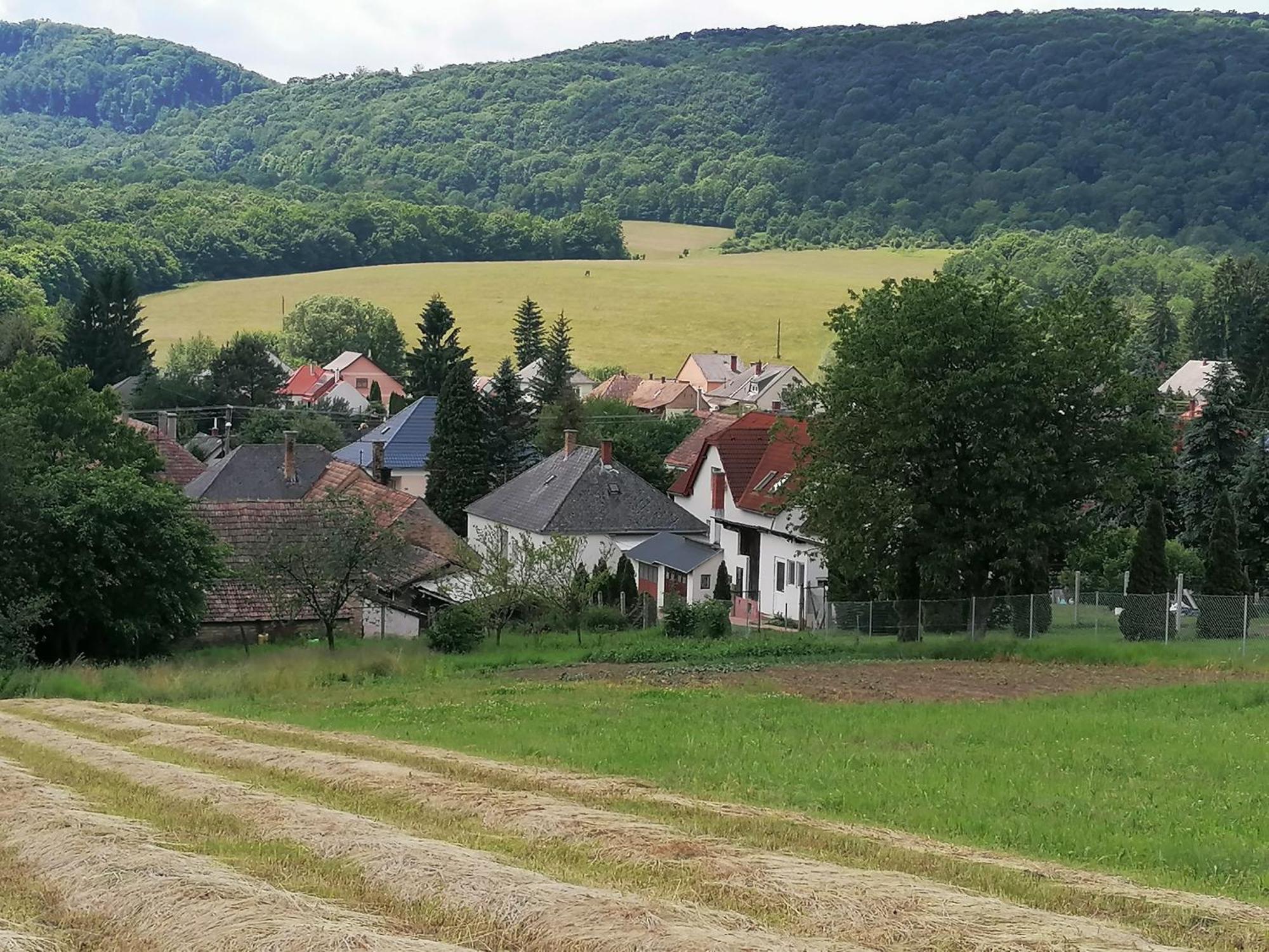 Borostyankut Wellness Home Bakonybél エクステリア 写真