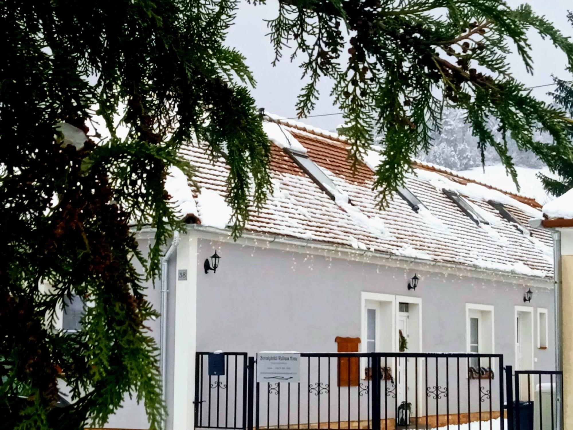 Borostyankut Wellness Home Bakonybél エクステリア 写真