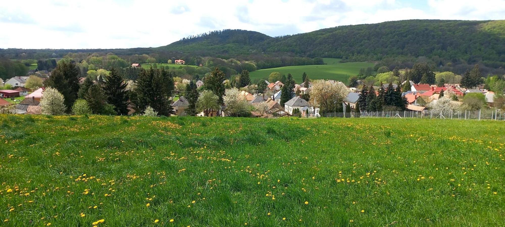 Borostyankut Wellness Home Bakonybél エクステリア 写真